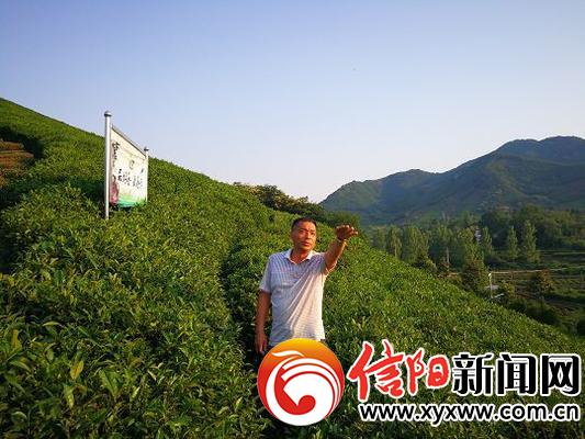徐启来要打造“茶都”为百年品牌拒绝四百万元收购
