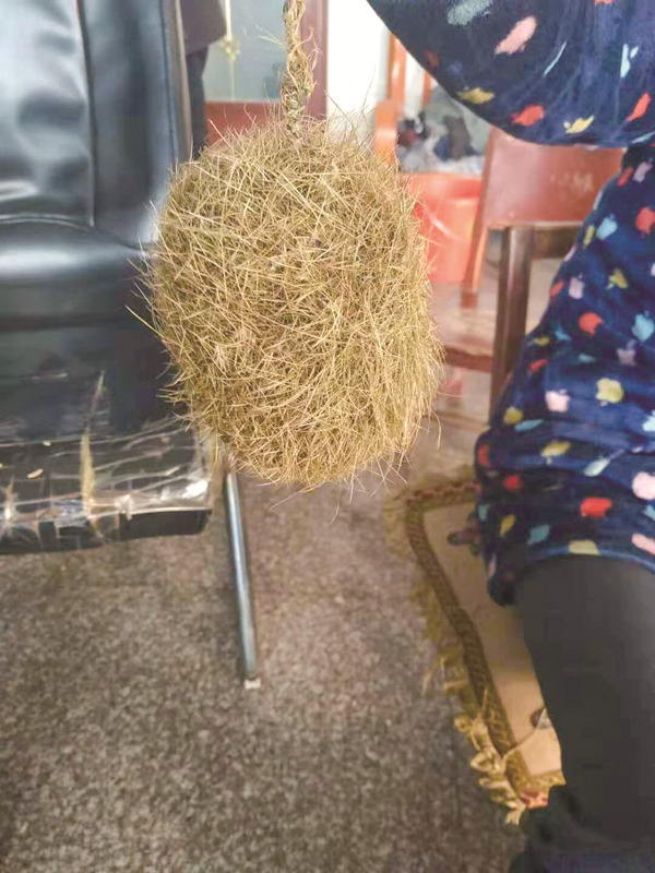 猪宝.jpg