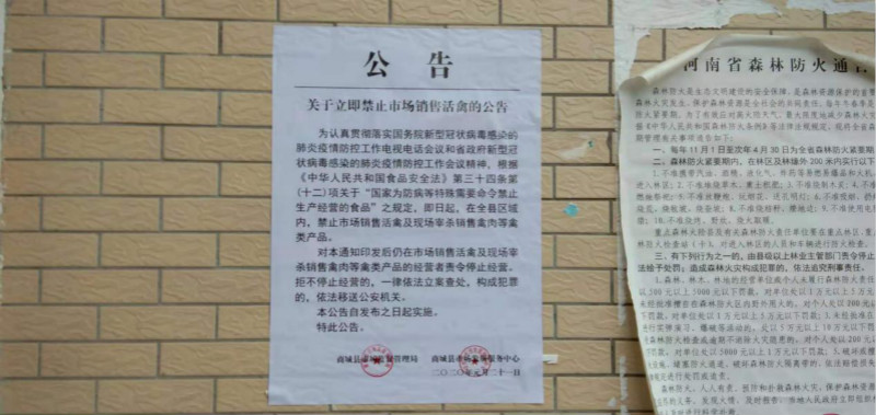 图片2_meitu_2.jpg