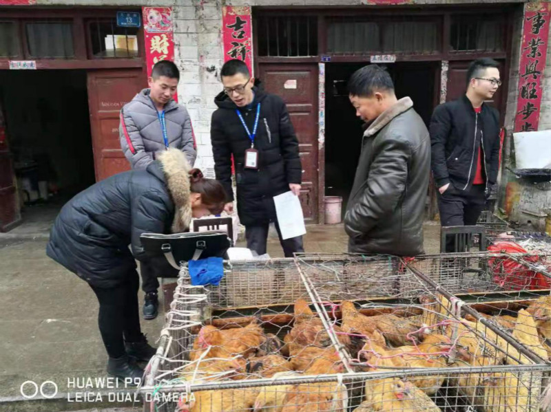 图片1_meitu_1.jpg