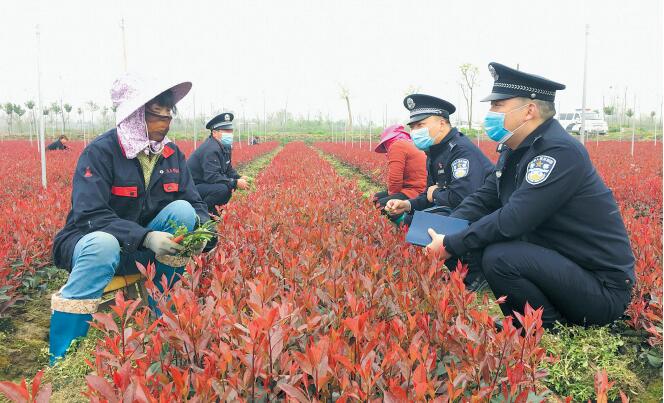 QQ截图20200403164720.jpg