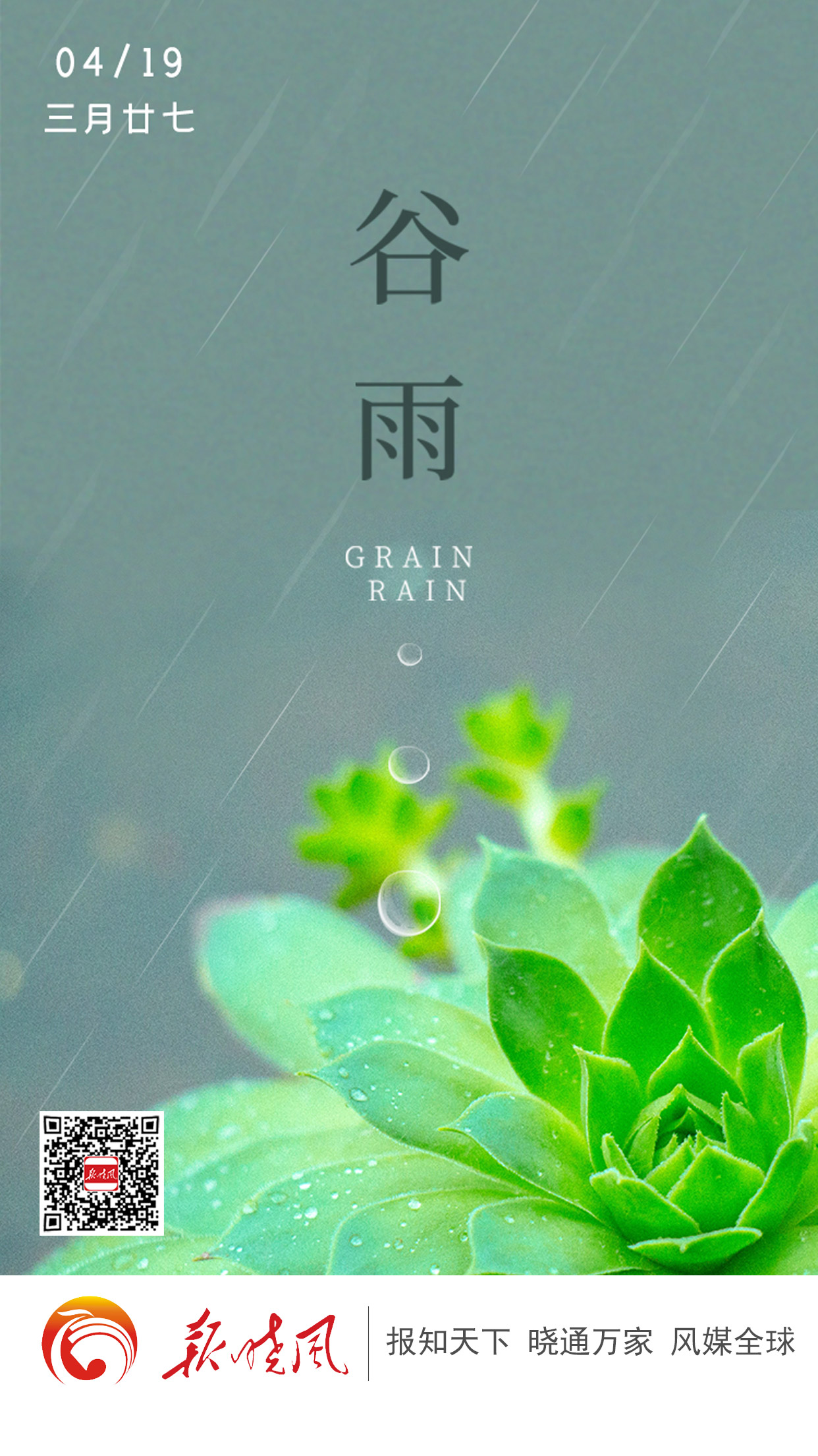 谷雨（二维码）.jpg