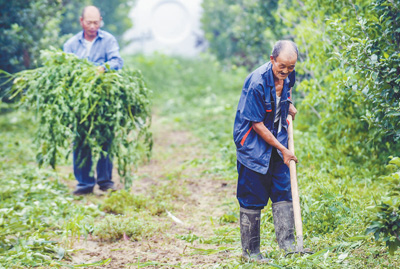 有了扶贫岗 劳动能脱贫