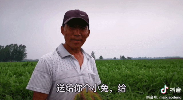 20.gif