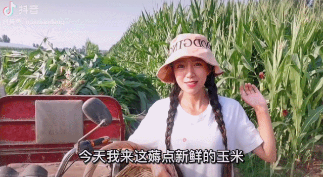 28.gif
