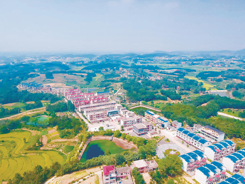 商城6.jpg