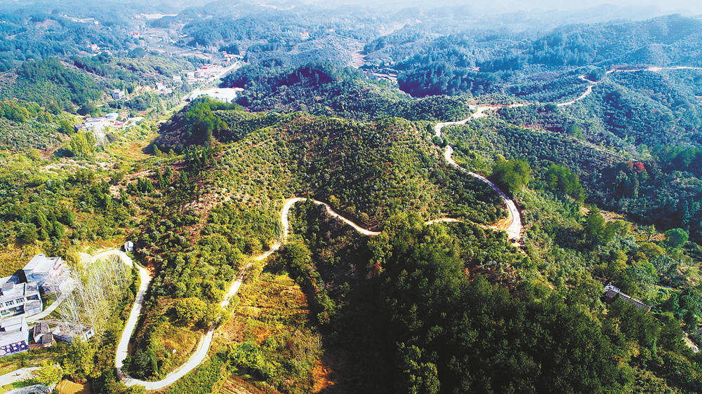 商城7.jpg