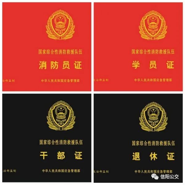 证件.jpeg