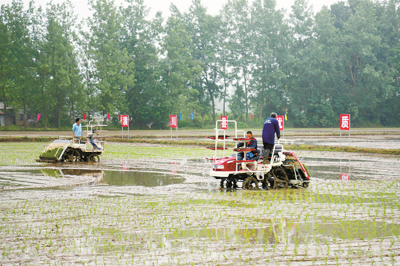 潢川1.jpg 潢川1.jpg