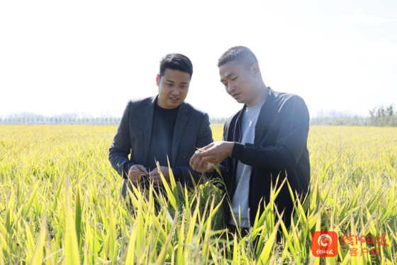 淮滨.jpg 淮滨.jpg