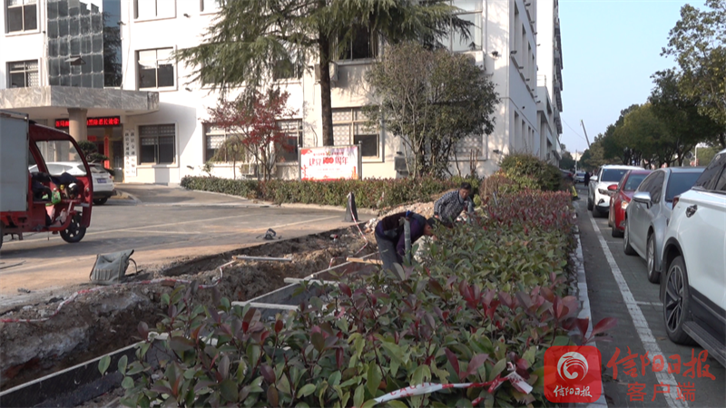 新县2.png 新县2.png