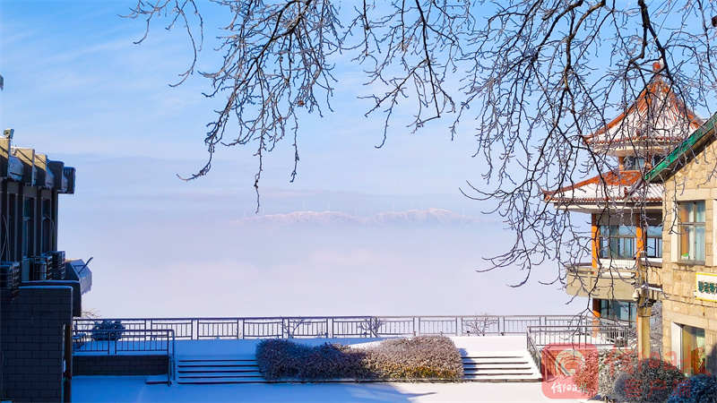 鸡公3.jpg 鸡公3.jpg