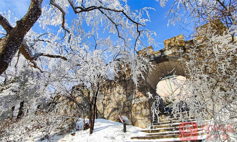 鸡公4.jpg 鸡公4.jpg