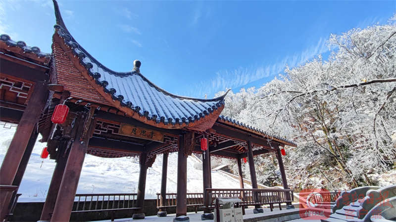 鸡公8.jpg 鸡公8.jpg