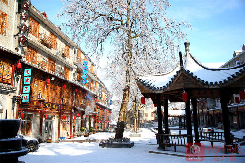 鸡公9.jpg 鸡公9.jpg