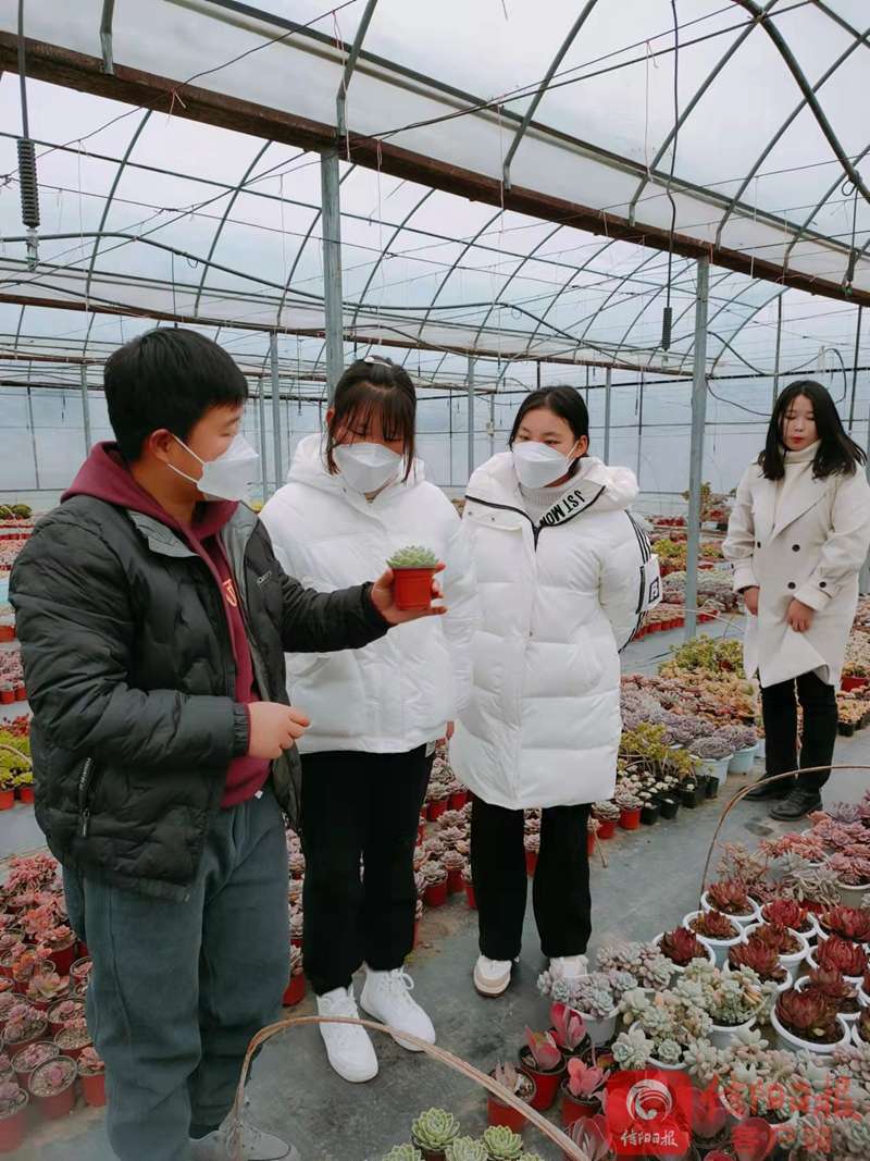 多肉3.jpg