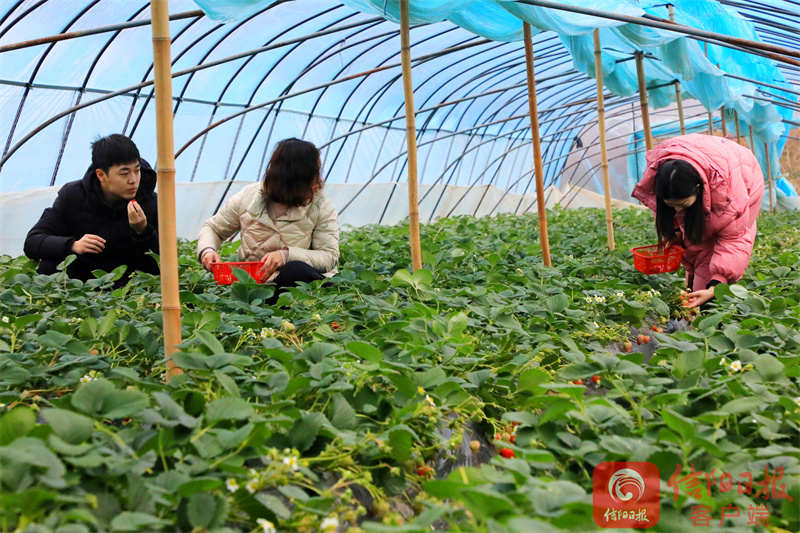 乡村1.jpg 乡村1.jpg