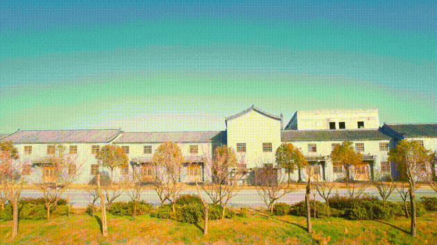 16.gif