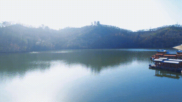 17.gif