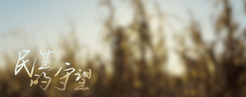 5.gif