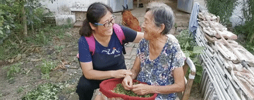6.gif
