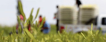 9.gif