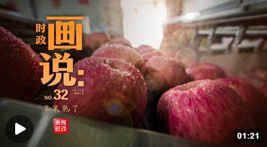 时政画说丨苹果熟了1.png