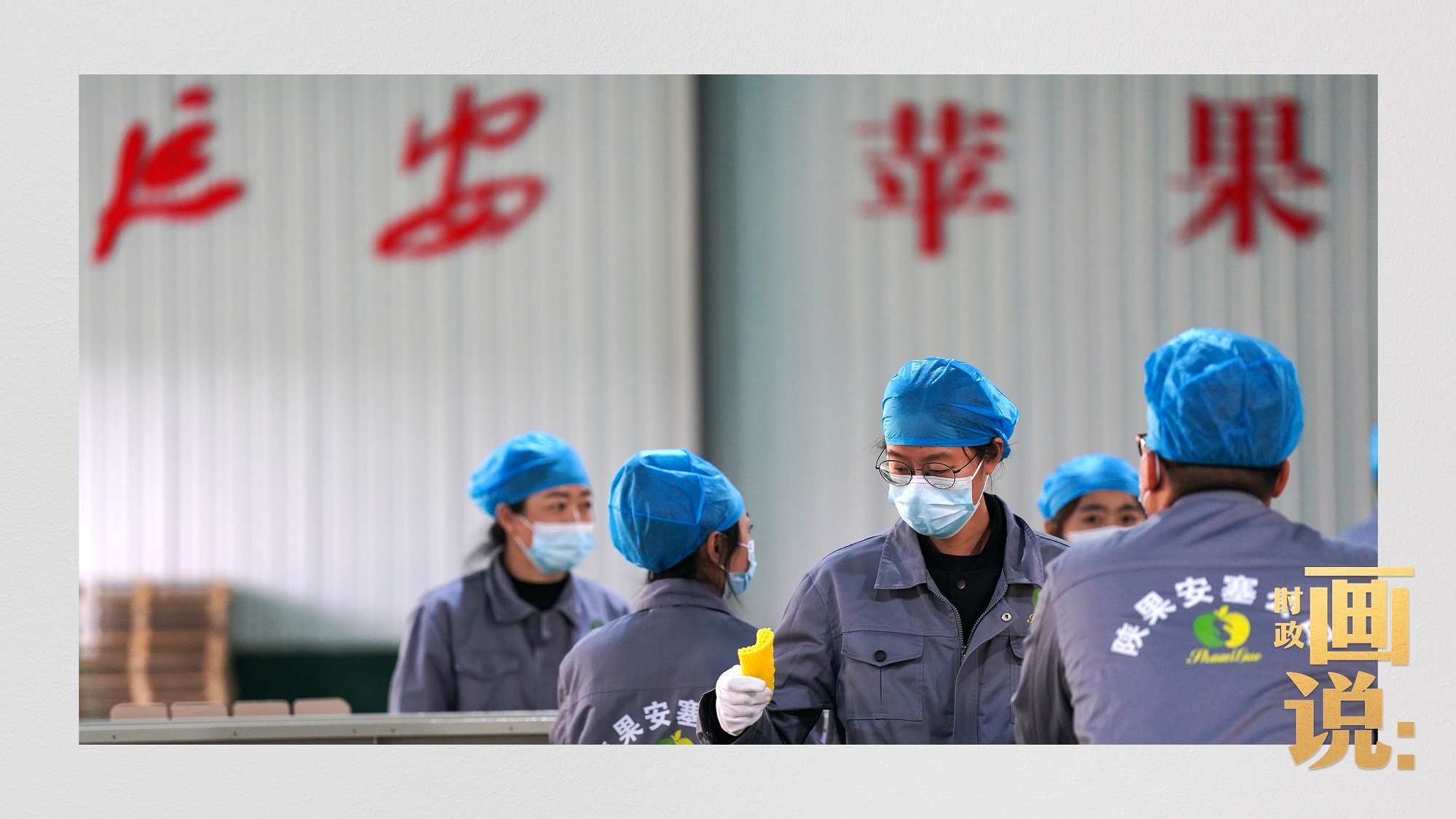 时政画说丨苹果熟了14.jpg