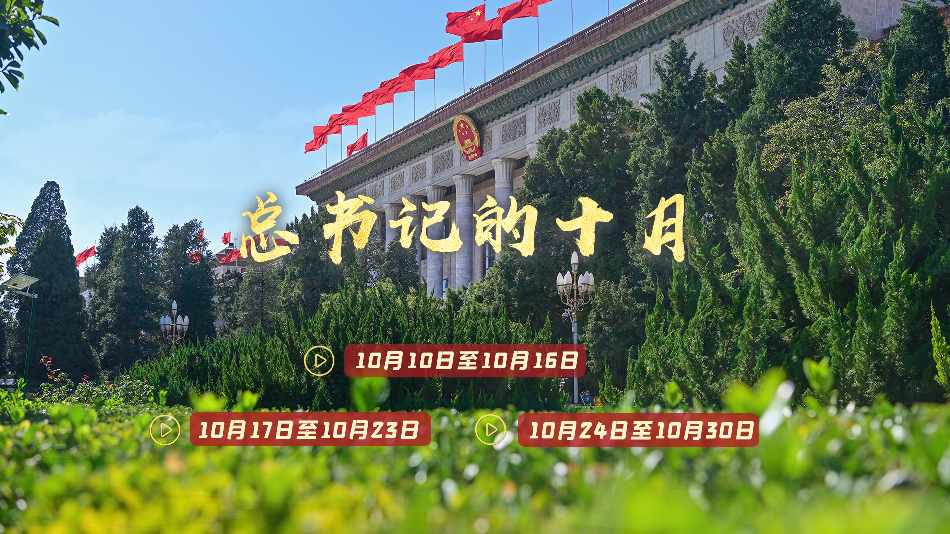 1666424024565_501.jpg 1666424024565_501.jpg