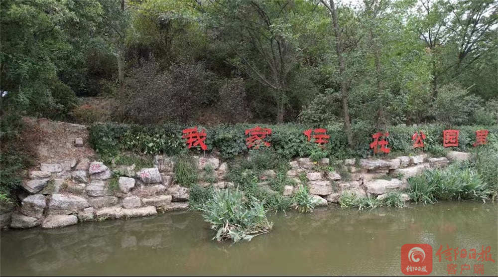 口袋4.jpg 口袋4.jpg