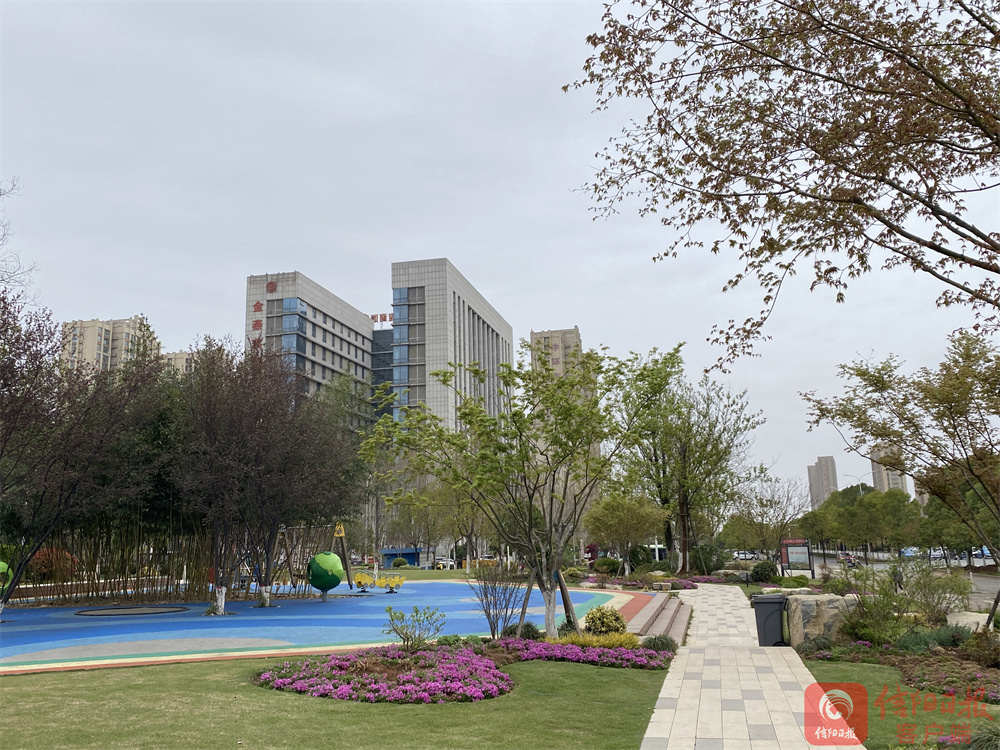 口袋5.jpg 口袋5.jpg