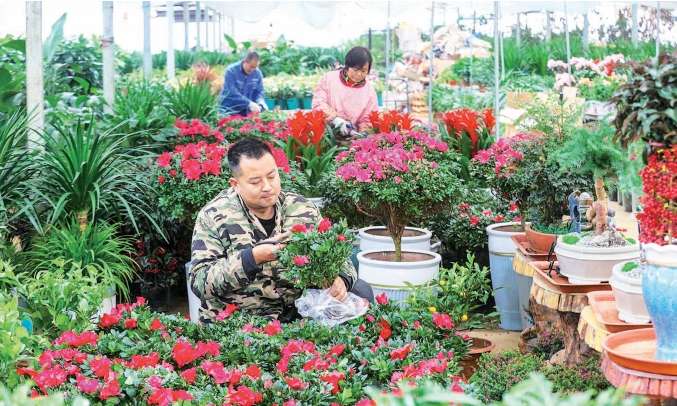花.jpg