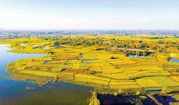 潢川1.jpg