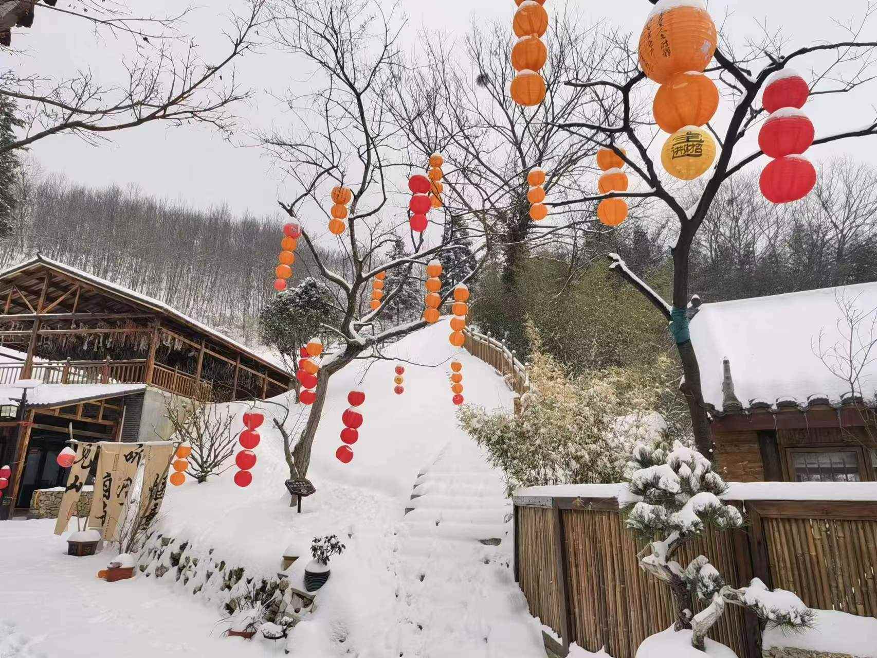 松林1.jpg
