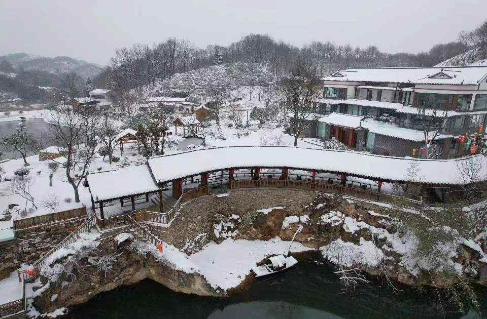 松林5.jpg