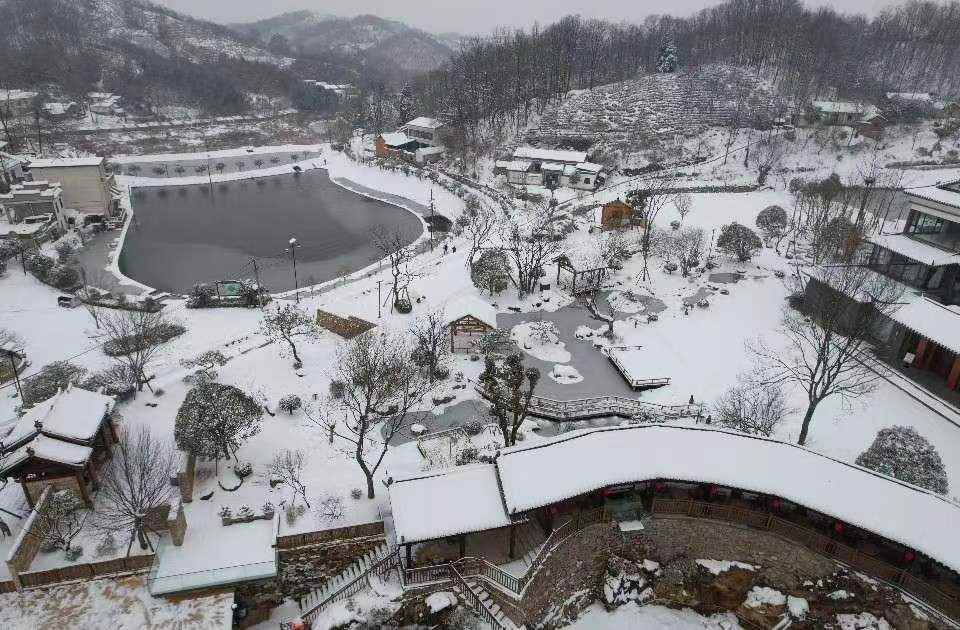 松林6.jpg