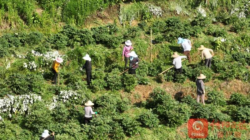 【红城“头雁”新风采】陈江：贝斯特2288超豪华游戏 “兵支书”的“新战场”