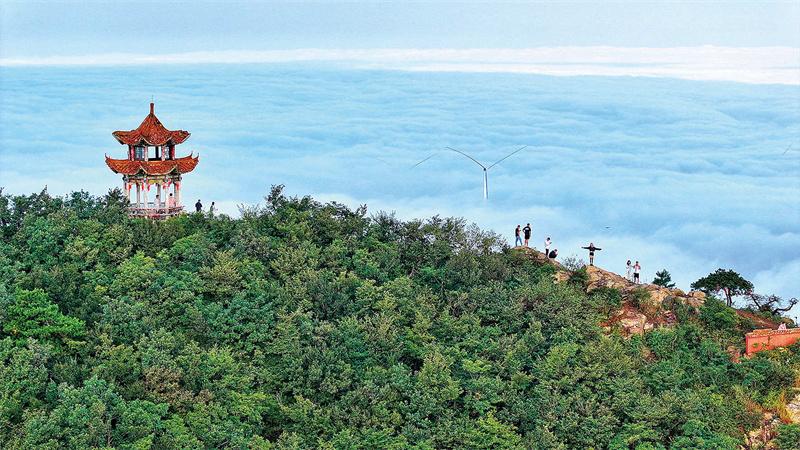 一眼沦陷！信阳这里藏着“云海自由”