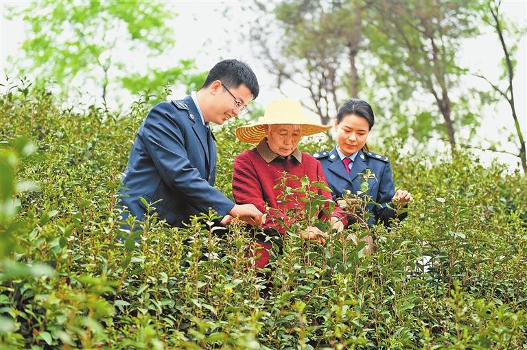 河南400亿元税惠民企的账怎么算