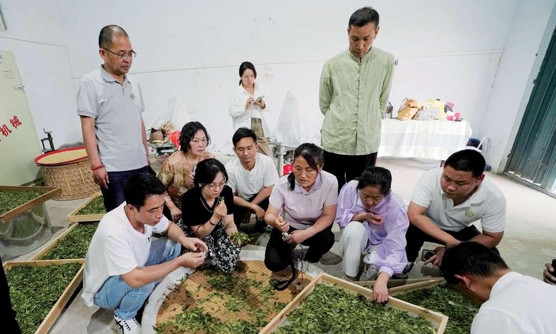 信陽(yáng)紅、信陽(yáng)白茶實(shí)戰(zhàn)培訓(xùn)班舉辦