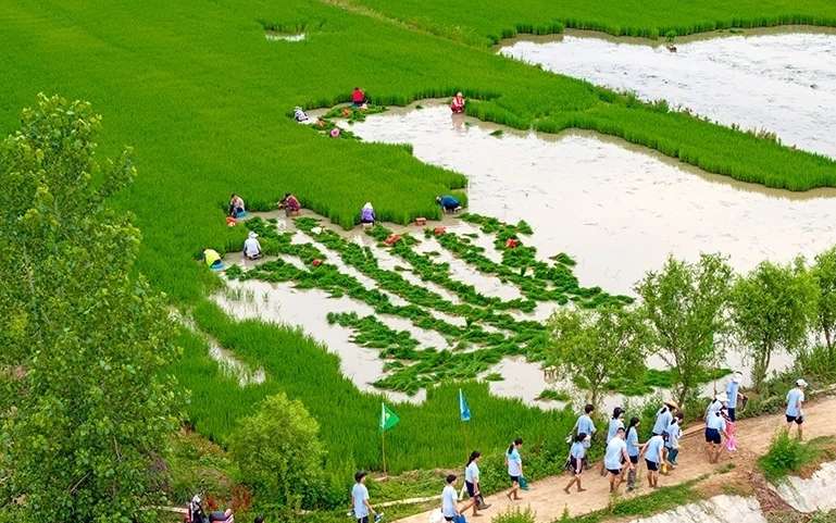 比赛1.jpg