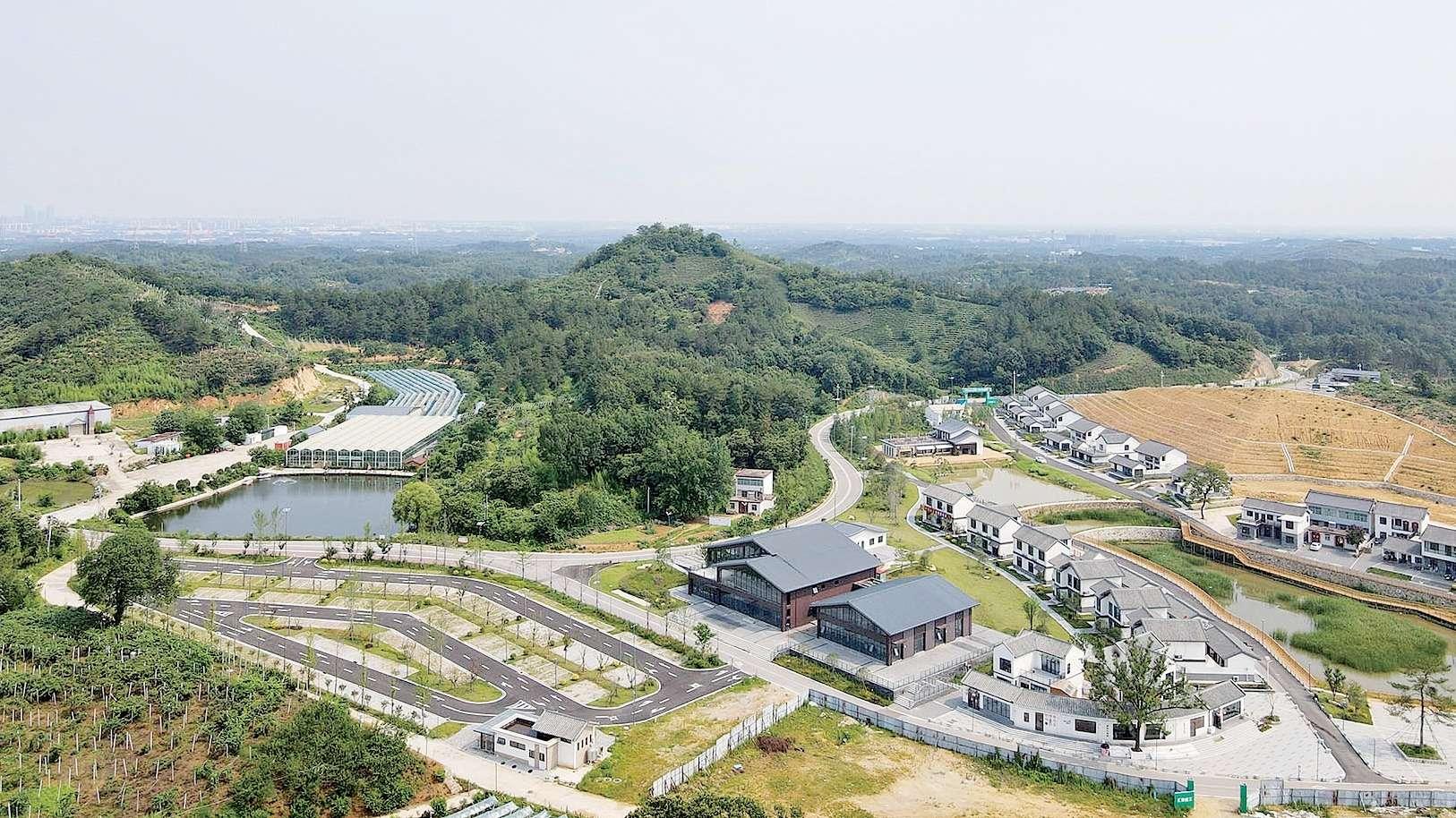 平桥区马家河生态治理显成效