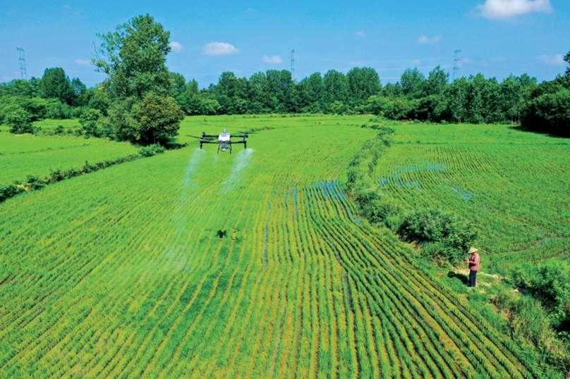 抢抓农时！光山农民用无人机为水稻“加餐”