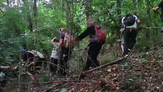 11.gif 11.gif