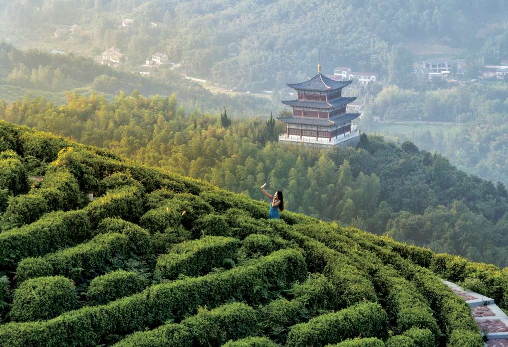 文旅.jpg