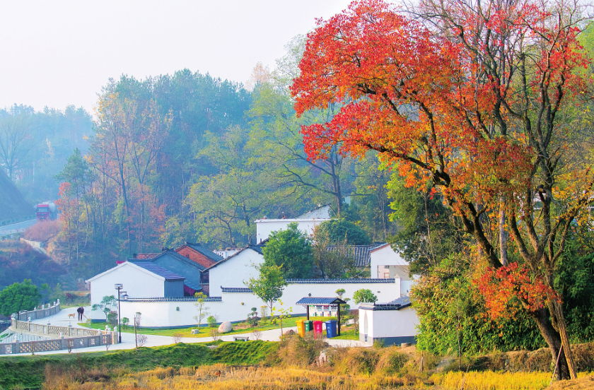 田园4.png