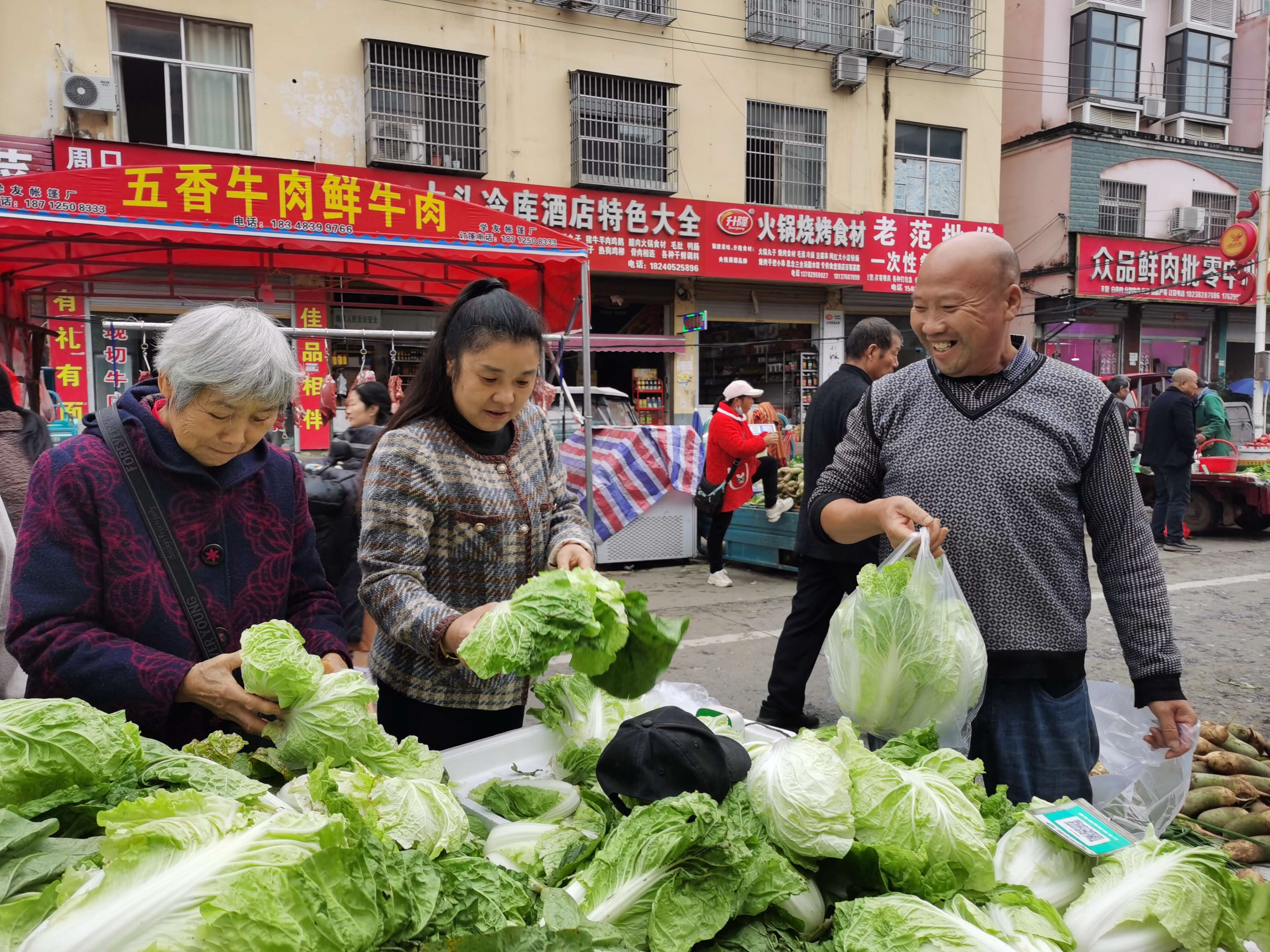 小杂五.jpg