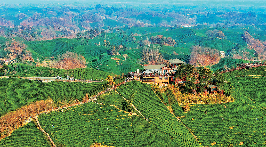 冬日.png 冬日.png