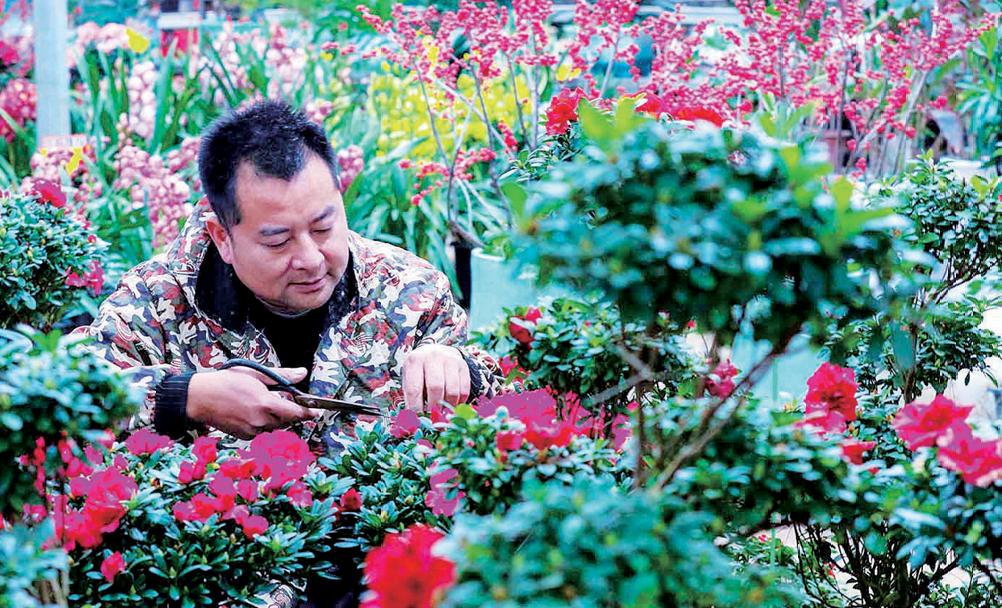 光山县：“公司+基地+农户”模式让“鲜花经济”绽放