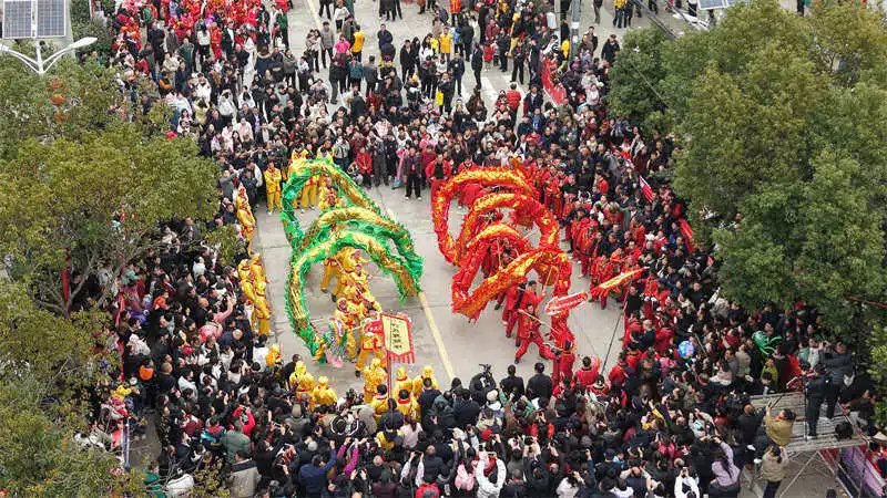 龙1 (1).jpg 龙1 (1).jpg